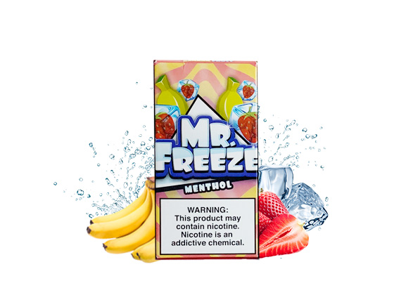 MR FREEZE 100ml Fruit Flavors Popular Products Tobacco Flavors